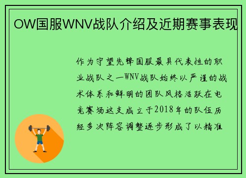 OW国服WNV战队介绍及近期赛事表现